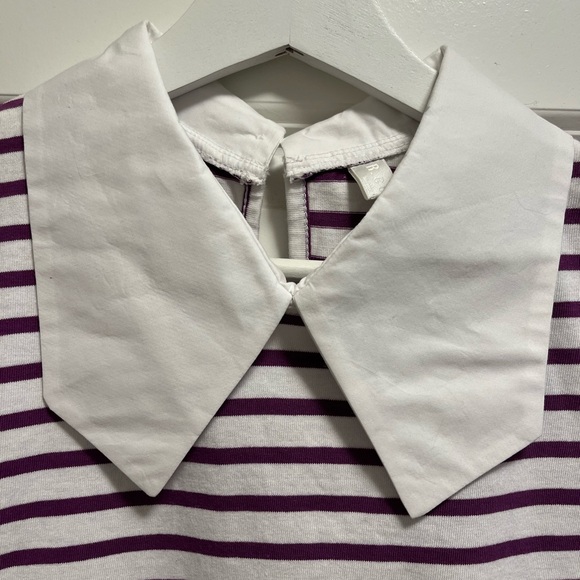 Purple and White Striped T-Shirt with White Collar - Picture 3 of 7